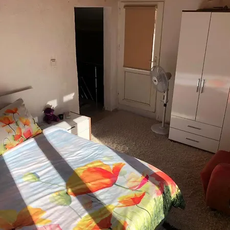 Проживание в семье Cozy In *