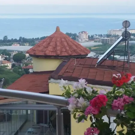 Cozy In Проживание в семье Алания