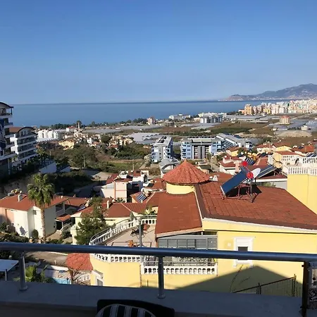 Проживание в семье Cozy In